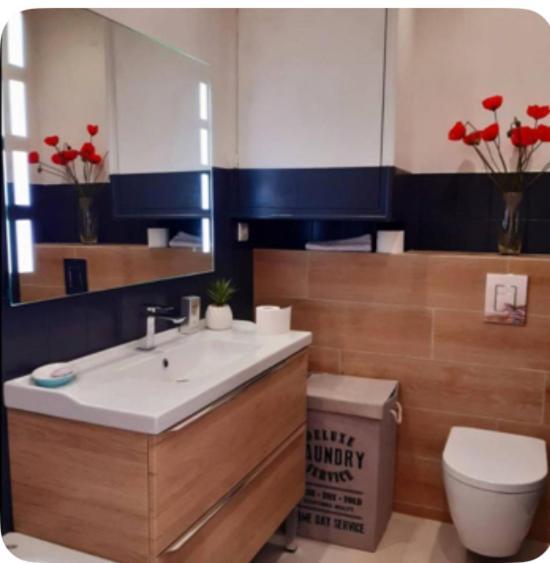 Superbe Appartement 700M Du Palais Cannes